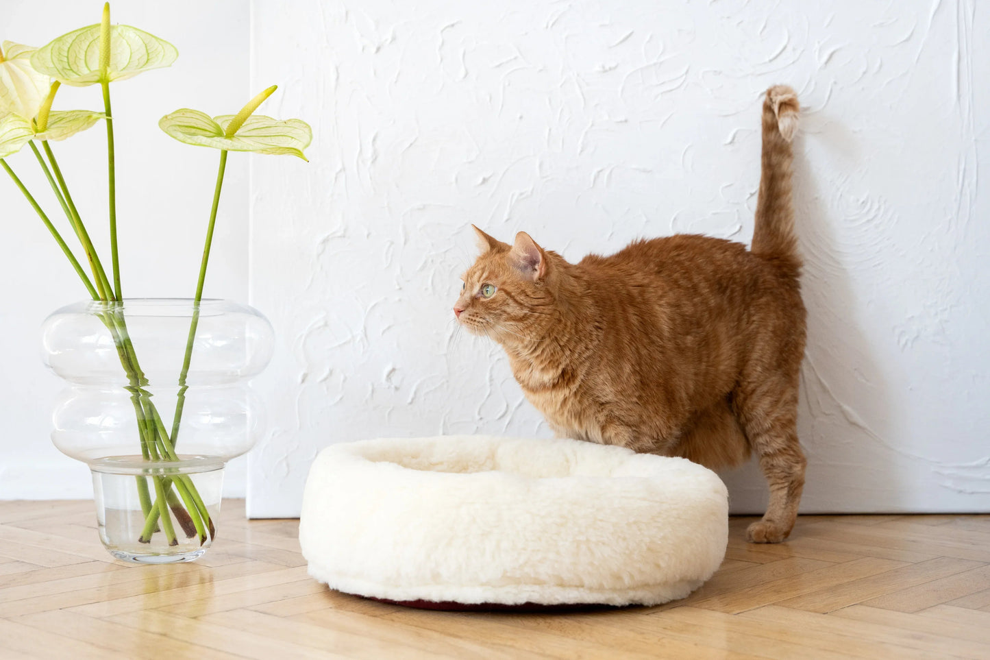 Nordvik Wool Pet Bed — Round, Natural White