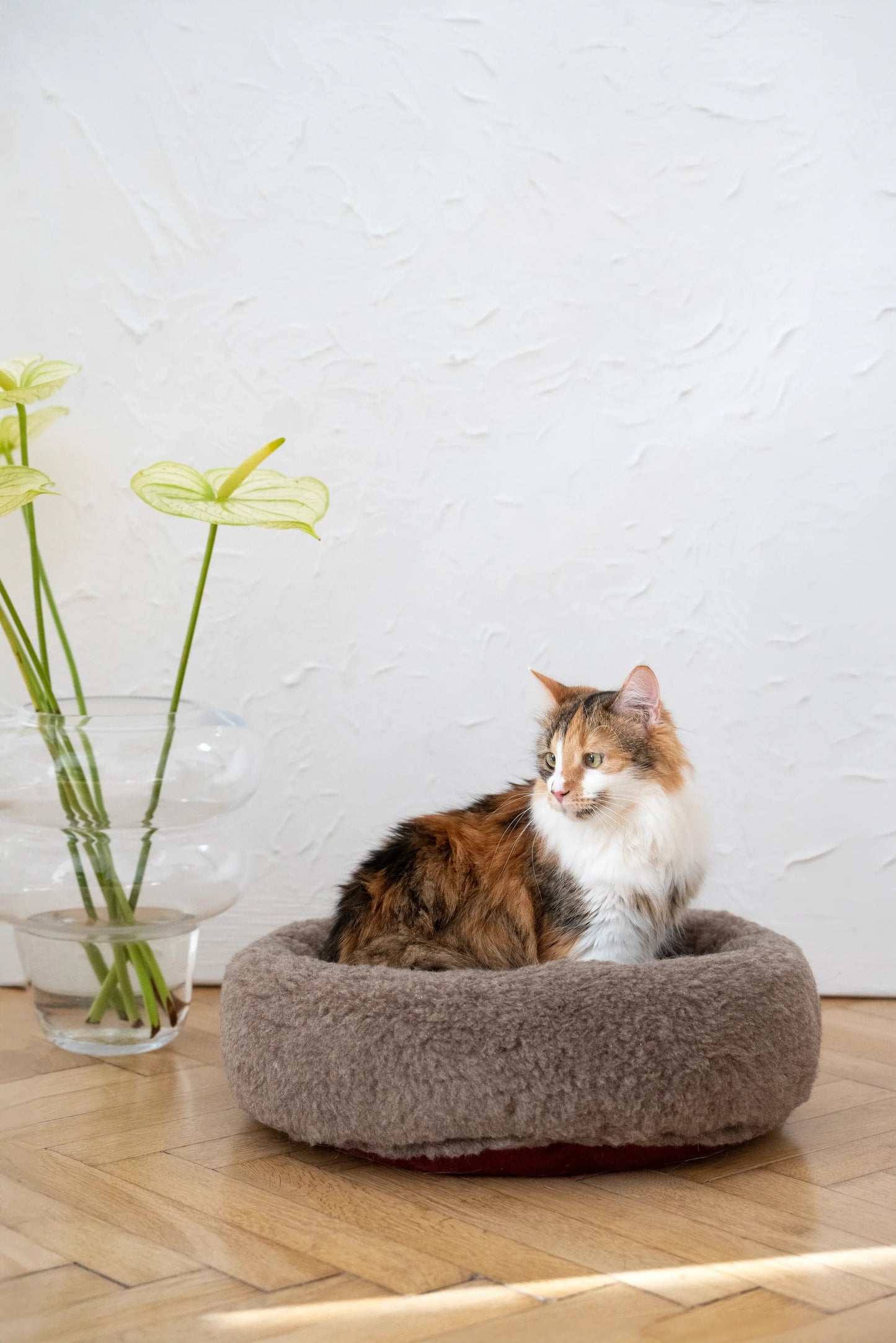 Nordvik Wollen Mand — Rond, Beige