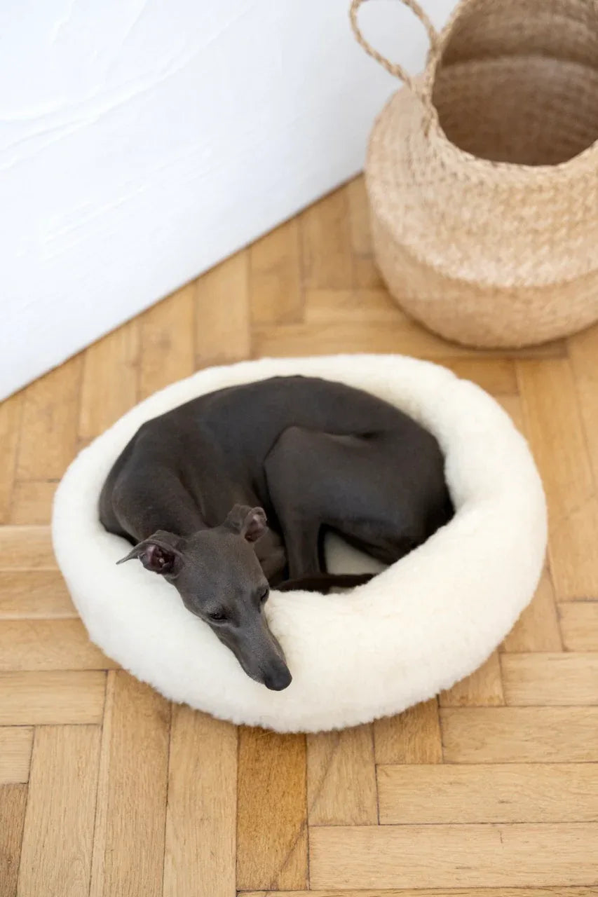 Nordvik Wool Pet Bed — Round, Natural White