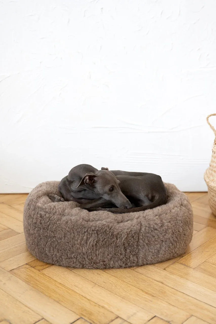 Nordvik Wollen Mand — Ovaal, Beige