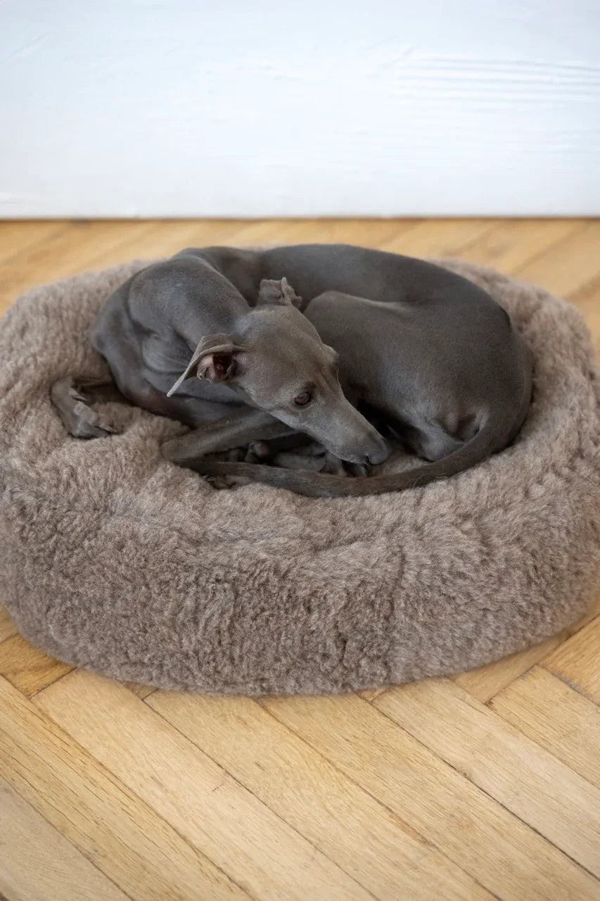 Nordvik Wollen Mand — Ovaal, Beige
