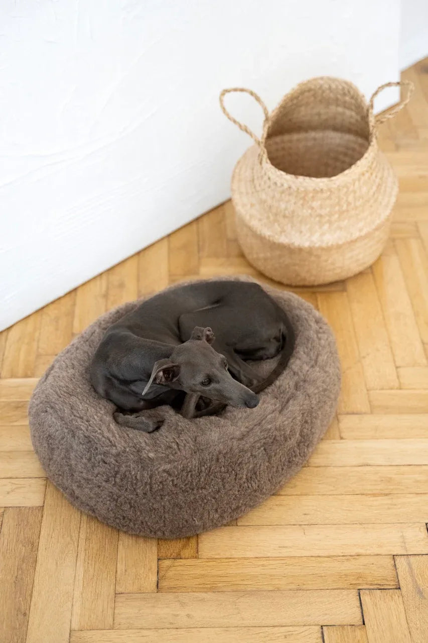 Nordvik Wollen Mand — Ovaal, Beige