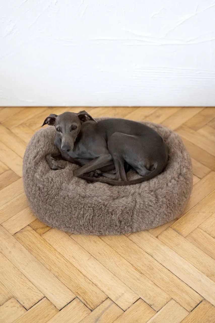 Nordvik Wollen Mand — Ovaal, Beige