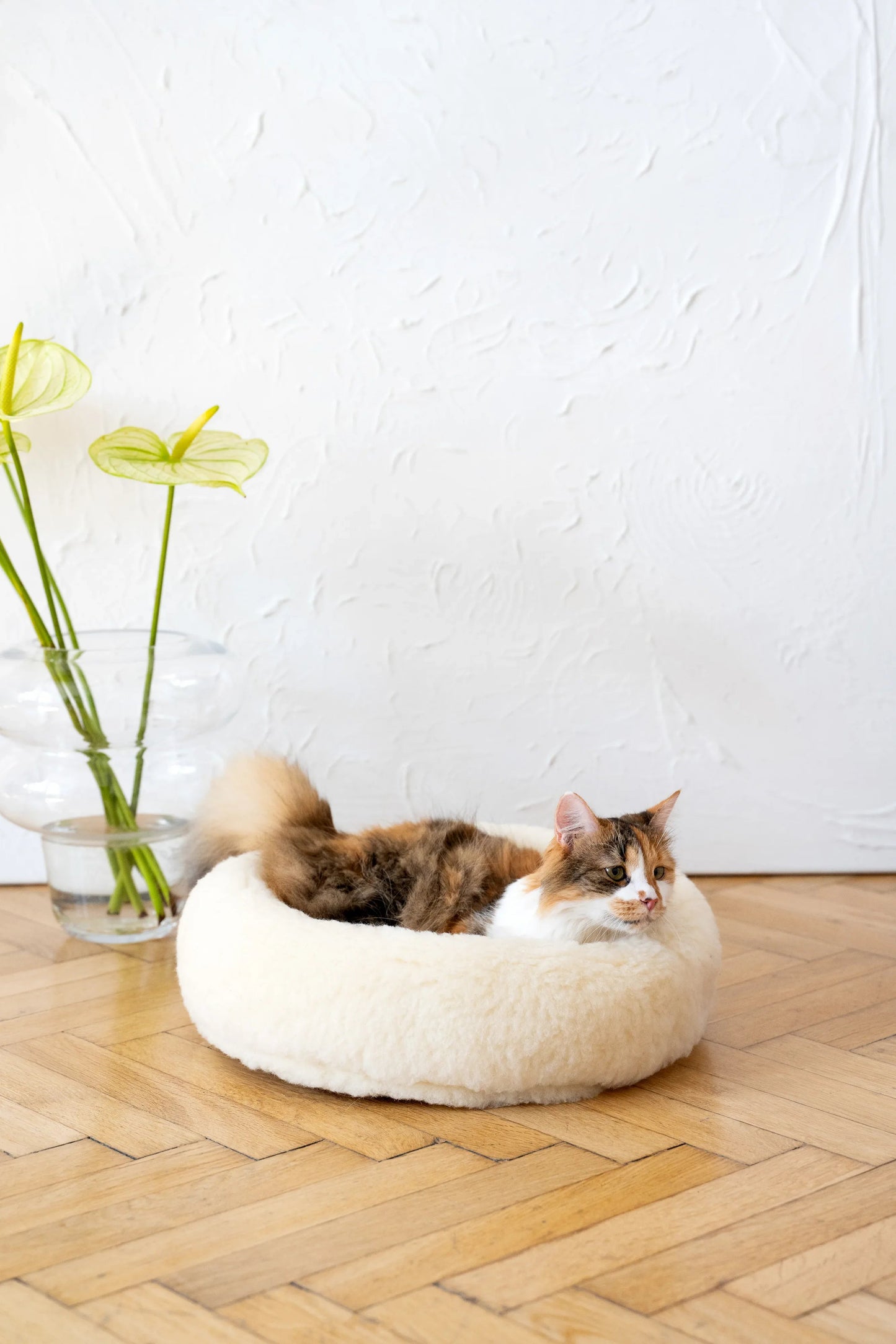 Nordvik Wool Pet Bed — Round, Natural White